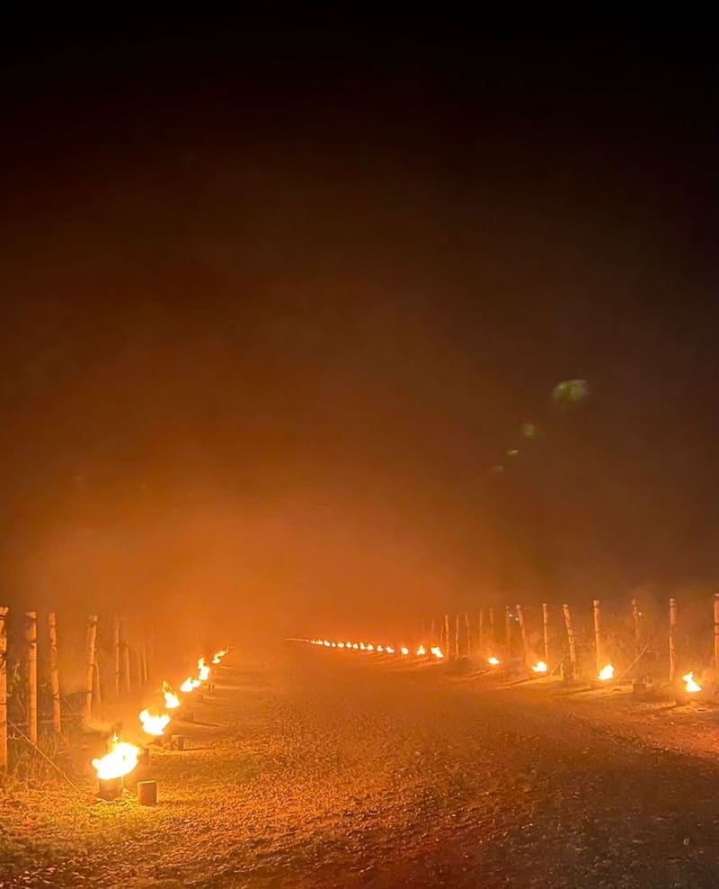 Las fogatas para combatir las heladas en los viñedos, esta vez, no fueron suficientes.