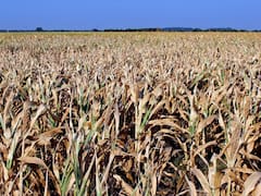 El gobierno reunirá este miércoles a un comité especial para estudiar el déficit hídrico