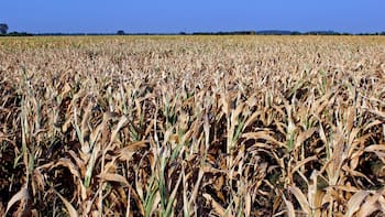 El gobierno reunirá este miércoles a un comité especial para estudiar el déficit hídrico