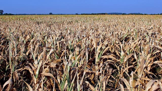 El gobierno reunirá este miércoles a un comité especial para estudiar el déficit hídrico