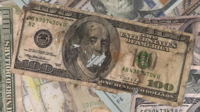 Se confirmó la mejor noticia: así puedes mantener tus ahorros en dólares para que no pierdan su valor