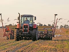 El campo ya aplica la “ciencia de lo invisible” y le imprime un 10% de rendimiento al trigo y al maíz