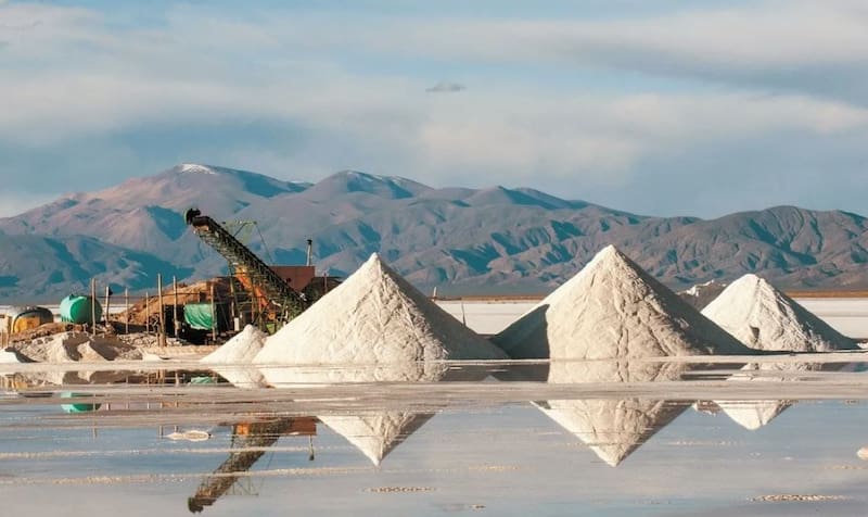 La minera coreana POSCO lleva invertidos 4.000 millones de dólares en Argentina