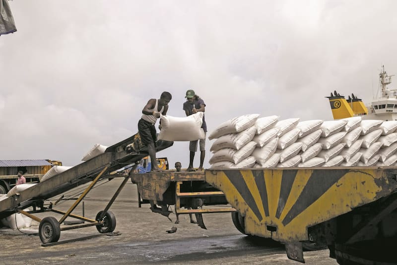 La prohibición de importación de fertilizantes químicos en Sri Lanka en 2021 provocó una crisis económica.
