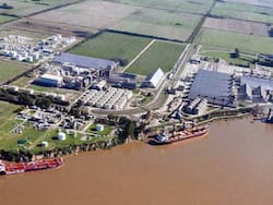 Bunge cerró la fusión con Viterra en el país y comenzará a operar de manera integrada