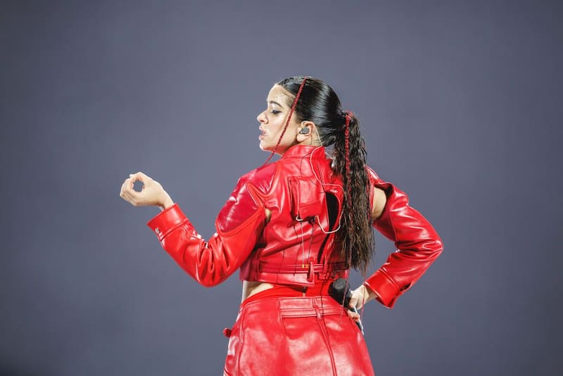 Este labial lo usa la cantante española Rosalia. Fuente: Archivo.