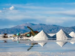 Súper RIGI: cómo surgió el proyecto que llevó al Gobierno a hablar de “industrialización”