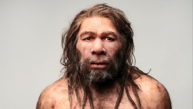 Encuentran un artefacto de 45.000 años que reescribe la historia de la humanidad. Fuente: Archivo El Cronista.