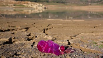 Cada vez hay menos agua en el planeta: la OMM advierte una caída sostenida de las reservas hídricas desde hace diez años