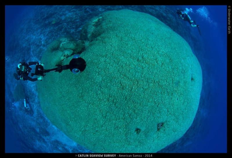 El coral gigante alberga una amplia variedad de especies marinas, como crustáceos y peces multicolores. (Foto: NOAA)