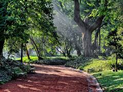 12 propuestas gratuitas para disfrutar al aire libre en Buenos Aires