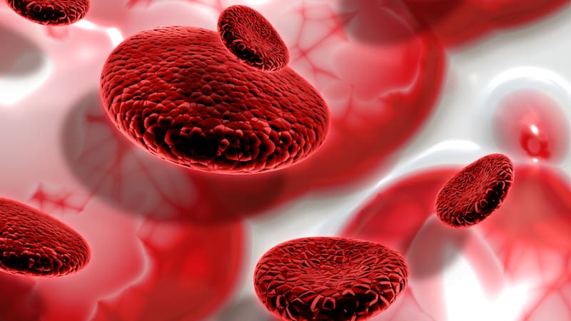 <div class="migrated-promo-image__description"><div class="migrated-promo-image__source">Fuente: Freepik</div></div>