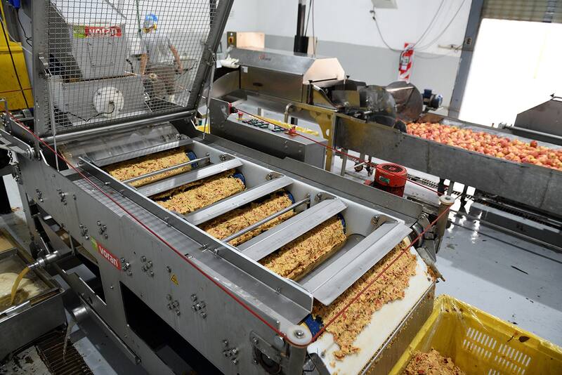 La agroindustria rionegrina podría verse beneficiada