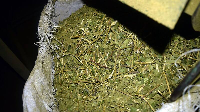 Los beneficios de tomar yerba mate durante el día (foto: archivo).