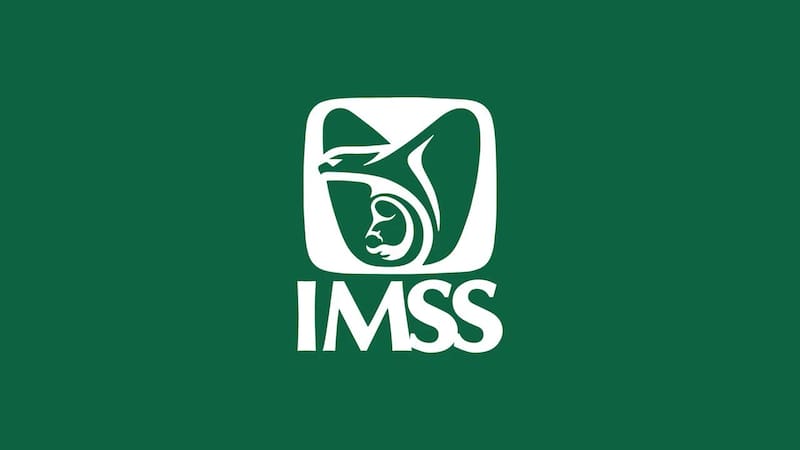 Paso a paso: cómo realizar el registro de datos biométricos. Fuente: IMSS