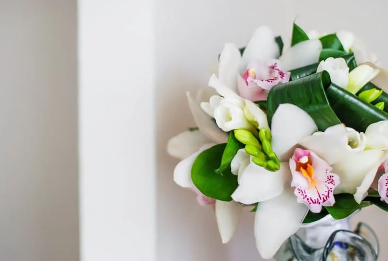 Las orquídeas son de las flores más costosas. Foto: Pinterest