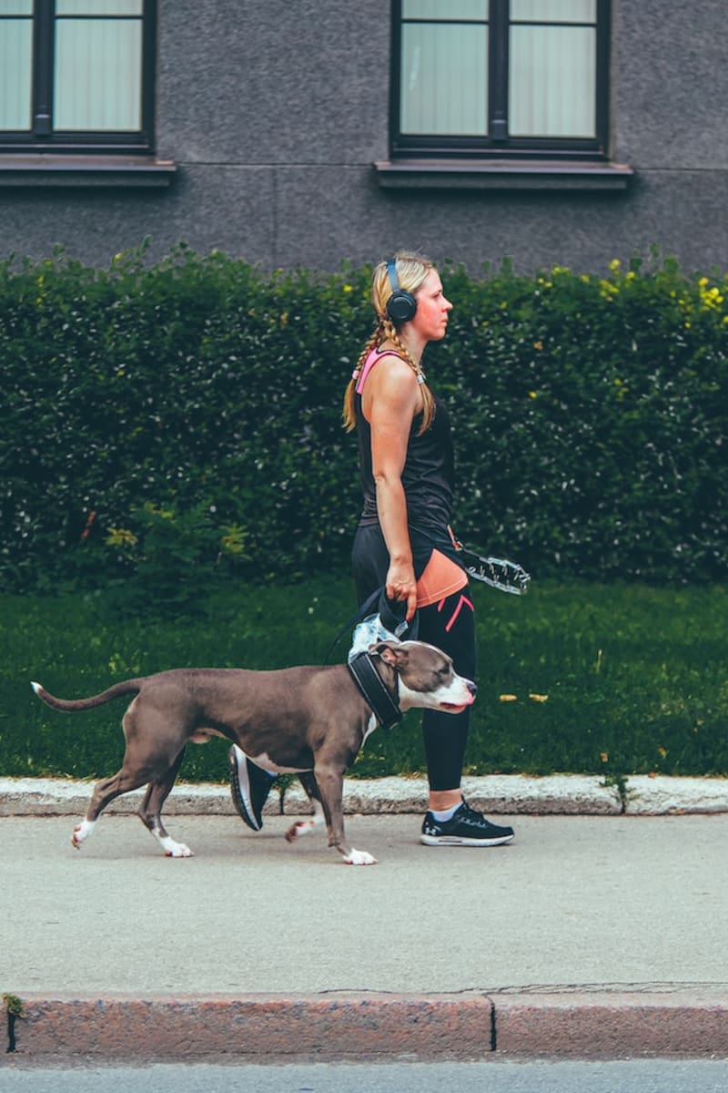Salir a pasear el perro puede ser una buena manera de comenzar a generar el hábito de caminar. (Fuente: Archivo/Pixabay)