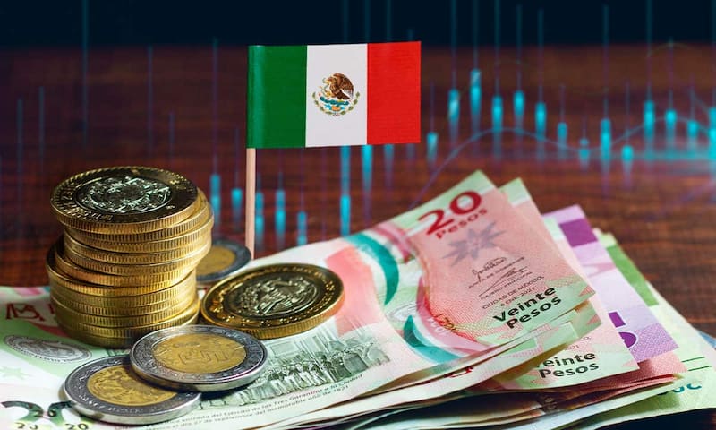 Fuente: Freepik