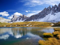 Buscan voluntarios para vivir gratis entre las montañas de Italia: ofrecen trabajo asegurado y todas las comidas