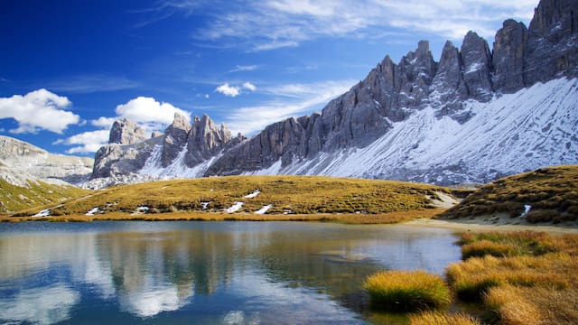 Buscan voluntarios para vivir gratis entre las montañas de Italia: ofrecen trabajo asegurado y todas las comidas