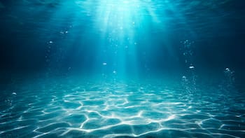 Descubren fósiles de un anfibio marino que vivió hace 237 millones de años: tenía una armadura ósea que le permitía tolerar la sal