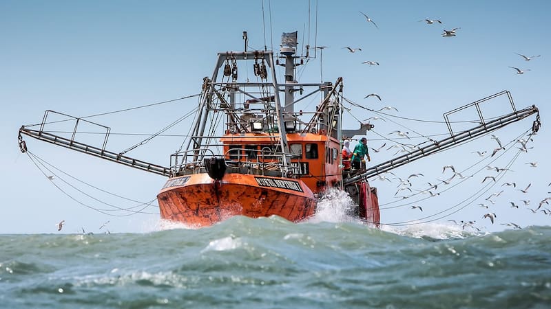 Españoles y argentinos se unen para rechazar el cambio al Régimen de Pesca que impulsa la "Ley Ómnibus" de Javier Milei (foto: archivo).