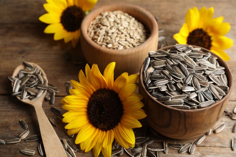 Las semillas de girasol aportan un 20% de la vitamina B-5 recomendada por día con tan solo un puñado.