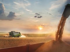 El campo es más que dólares y puede darle otra sorpresa al EMAE en febrero