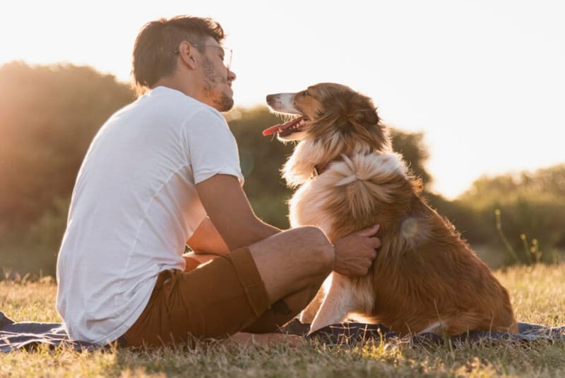 Los investigadores usaron ladridos de 74 perros para entrenar el algoritmo (Fuente: archivo).