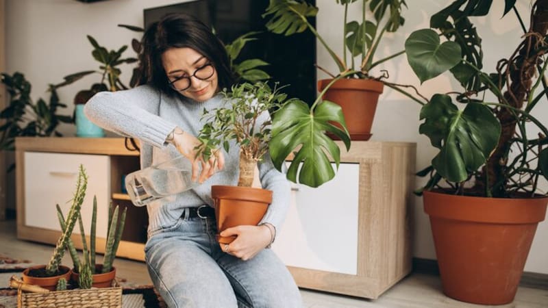 ¡Adiós plagas! Elimínalas de tus plantas con ajo y jabón líquido de forma natural y segura. Fuente: Shutterstock.