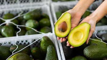 El aguacate michoacano está atrapado entre la inseguridad y las inspecciones de EEUU