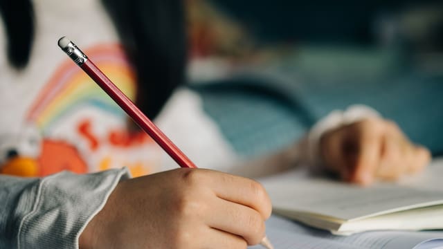 Confirmado por las autoridades: suspenden las clases en nivel básico y superior hasta nuevo aviso