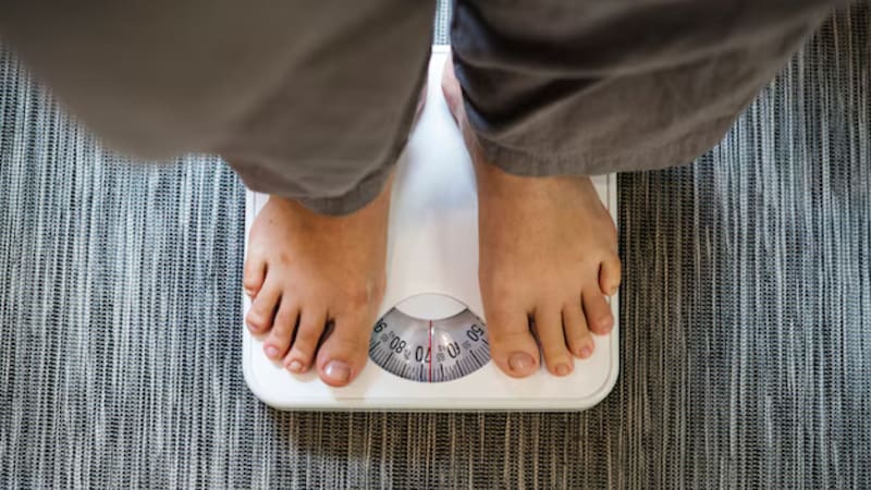 De la supervivencia a la obesidad: por qué un mecanismo clave para resistir la escasez podría explicar la dificultad para perder peso en la actualidad. Fuente: Shutterstock.