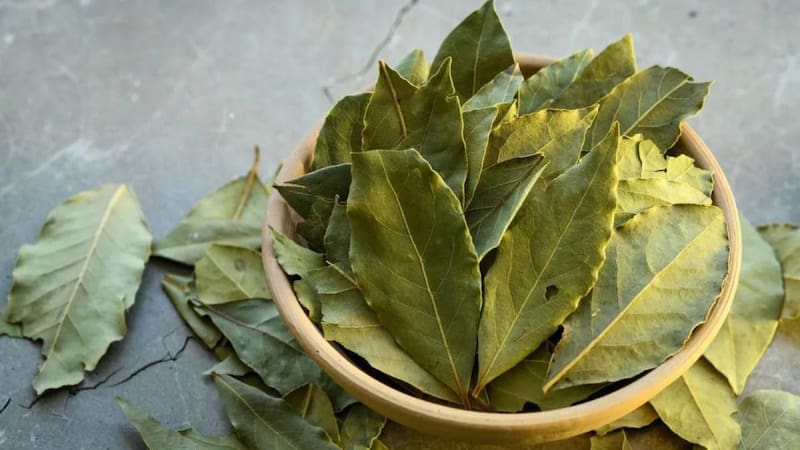 El laurel, la canela y el clavo de olor son ingredientes utilizados tanto en la cocina como en distintas tradiciones vinculadas con el bienestar. (Foto: Pixabay)