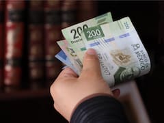 Alerta en Afores: Retiros por desempleo tienen histórico repunte en abril y Consar va tras gestores