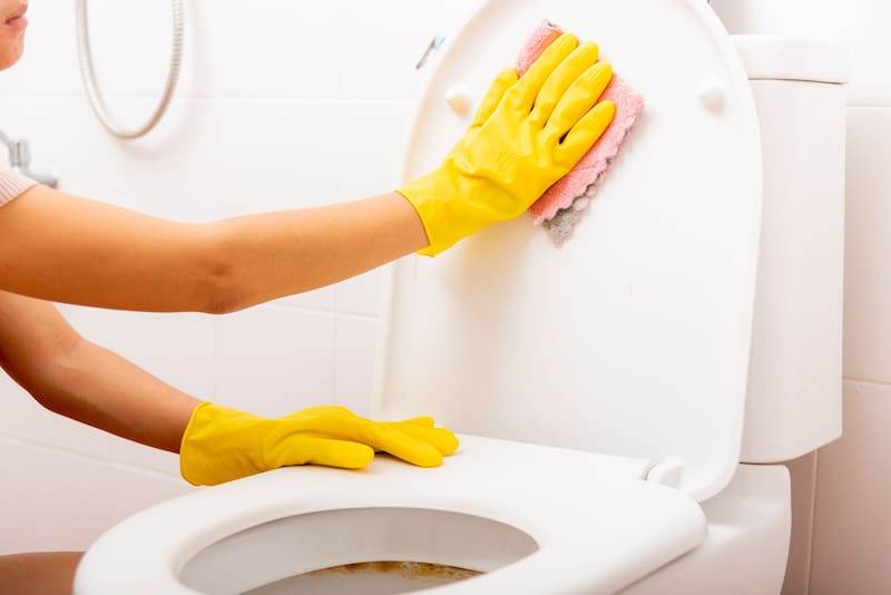 La limpieza del inodoro puede hacerse sin necesidad de químicos (Fuente: Shutterstock)
