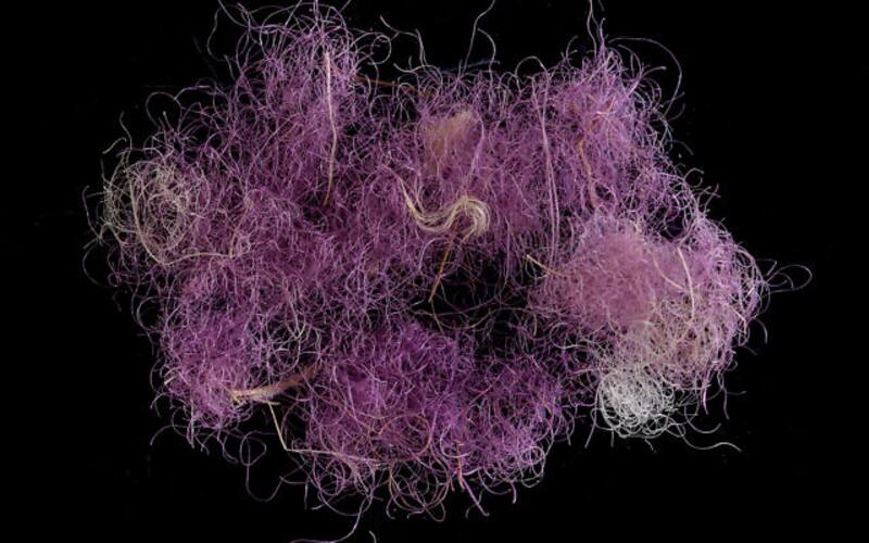 Descubrimiento sin precedentes: encuentran en Israel un tesoro escondido de la época del rey David. (Imagen: Autoridad de Antigüedades de Israel)