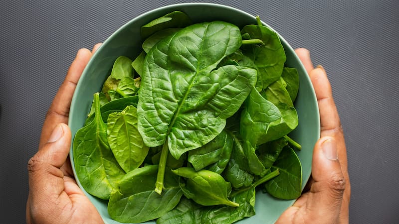 La espinaca es un vegetal rico en nutrientes que contribuye a la regeneración del colágeno y al alivio de molestias articulares. Imagen: archivo.