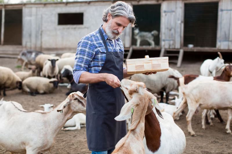 Los empleados estarán a cargo de todo lo relacionado con el cuidado y la asistencia de los animales.
