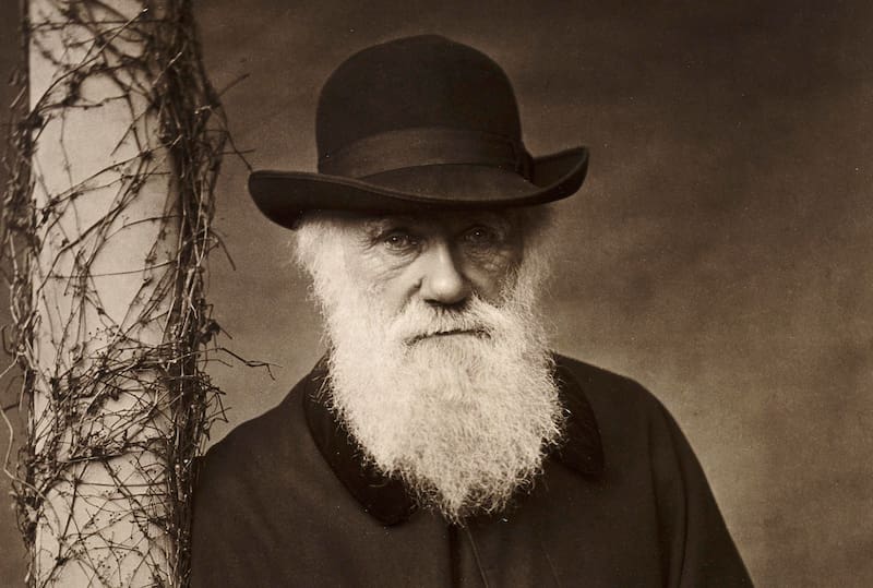El descubrimiento de esta respuesta natural reafirma la teoría planteada por Charles Darwin. Fuente: archivo.