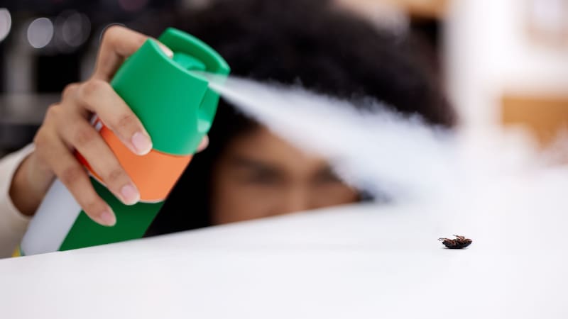 Mercadona tiene un insecticida para eliminar cucarachas (Fuente: Shutterstock)
