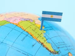 Mientras la soja baja en el mundo: por qué la harina argentina encontró un comprador dispuesto a pagar más
