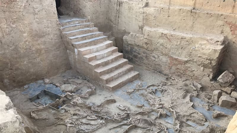 Descubrieron figuras grabadas en el suelo de un yacimiento arqueológico. (Imagen: Construyendo Tarteso)
