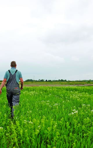 Se buscan soluciones para el campo tras temporal que afectó a productores
