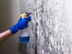 Ni lavandina ni detergente: el truco para eliminar las manchas de humedad del baño sin químicos