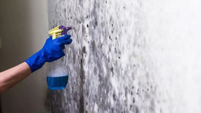 Ni lavandina ni detergente: el truco para eliminar las manchas de humedad del baño sin químicos