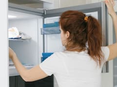 El truco secreto para pagar la mitad en la boleta de luz: cómo reducir el consumo de la heladera con solo un botón