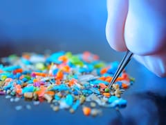 Microplásticos en el cerebro humano: un estudio detectó un aumento del 50% en las concentraciones entre 2016 y 2024