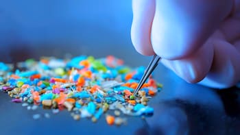 Microplásticos en el cerebro humano: un estudio detectó un aumento del 50% en las concentraciones entre 2016 y 2024