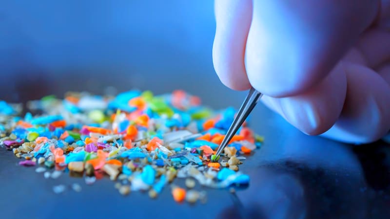 Los riesgos que suponen los microplásticos y los nanoplásticos para la salud. (Imagen: archivo)